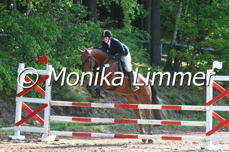 104M7952_Gippetto_Spring A.JPG